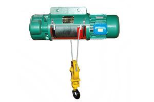 Električna dizalica
